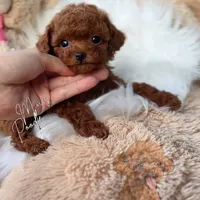 processed/240b7acb-95c8-4447-97de-7dd1795bdbe1/facility/f91700e1-54e2-4729-81fc-165048aff88d