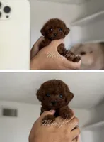 processed/240b7acb-95c8-4447-97de-7dd1795bdbe1/listing/24906dd4-8652-49e6-a01d-a0cb1d0b2c15/fd4691f0-3695-46cb-a22d-afea90a1471d