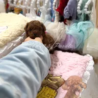 AKC red toy poodle F, a female Poodle - Toy  for sale in Los Angeles, CA – Photo 1 of 8