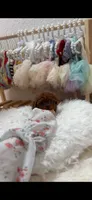 Linda, a female Poodle - Toy  for sale in Los Angeles, CA – 2 of 2