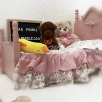 akc deep red teacup M, a male Poodle - Toy  for sale in Los Angeles, CA – Photo 5 of 9