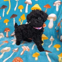 processed/240bb1cc-3d35-42c0-a9e6-73ad1c92438a/facility/f1144889-8426-4b66-be93-dee43328643c