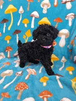 processed/240bb1cc-3d35-42c0-a9e6-73ad1c92438a/facility/f1144889-8426-4b66-be93-dee43328643c