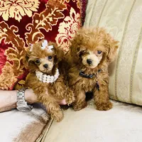 processed/240c1350-b581-448f-bced-358c605b3569/facility/4d0f5573-9134-43ca-91eb-188337122394