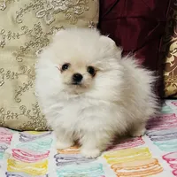 processed/240c1350-b581-448f-bced-358c605b3569/facility/53af7b4b-3d41-499d-8380-eea17de99486