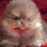 processed/240c1350-b581-448f-bced-358c605b3569/facility/55ff8c0c-090e-45f5-b91a-db65c8c14c76