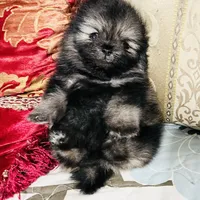 processed/240c1350-b581-448f-bced-358c605b3569/facility/57ec75da-faed-4769-9e1a-f81ade33c6c1