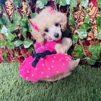 processed/240c1350-b581-448f-bced-358c605b3569/facility/7277de9f-2b22-4922-b7bc-74cda09f53f9