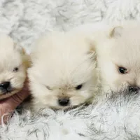 processed/240c1350-b581-448f-bced-358c605b3569/facility/b501f390-b7f9-4d45-9839-fa4707e49bbc