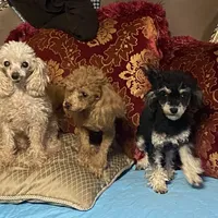 processed/240c1350-b581-448f-bced-358c605b3569/facility/ca9d44e7-bde1-4f3f-bacf-c2af75705f35