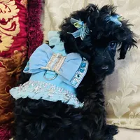 processed/240c1350-b581-448f-bced-358c605b3569/facility/d0112770-31f4-49af-83e7-caa1e001c051