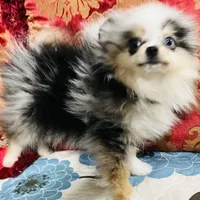 processed/240c1350-b581-448f-bced-358c605b3569/facility/d3f7d391-785c-48ef-9c53-e3d5bfbc99f4