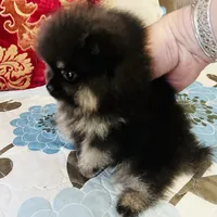 processed/240c1350-b581-448f-bced-358c605b3569/facility/e49a2609-fc8f-486d-92be-43252f07084a