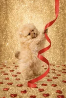 processed/240c1350-b581-448f-bced-358c605b3569/listing/1b1c41f6-151b-4d00-bdc0-ce972d3b2ebe/22ef70ee-dbe2-4ca9-b176-a8adb3300d56