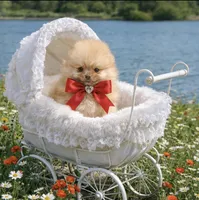 processed/240c1350-b581-448f-bced-358c605b3569/listing/1b1c41f6-151b-4d00-bdc0-ce972d3b2ebe/dd287509-d5c0-47b5-97db-19daef9578b6