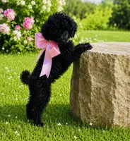 Ebony, a female Poodle - Toy  for sale in Phoenix, AZ – 3 of 10