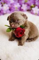 processed/240c1350-b581-448f-bced-358c605b3569/listing/ea55ffe2-f4a4-4c38-a08f-7d7d20bc1842/0616ad21-2cba-4151-8d95-8f09a78433e6