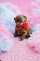 processed/240c1350-b581-448f-bced-358c605b3569/listing/ea55ffe2-f4a4-4c38-a08f-7d7d20bc1842/6c241bfe-af11-4c2b-9a5a-b7872fc0a32e