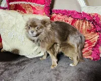 processed/240c1350-b581-448f-bced-358c605b3569/listing/ea55ffe2-f4a4-4c38-a08f-7d7d20bc1842/c10d122a-9ca0-4c53-be60-6077c49871a8