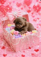 processed/240c1350-b581-448f-bced-358c605b3569/listing/ea55ffe2-f4a4-4c38-a08f-7d7d20bc1842/f9403ac3-84b6-428a-bfd2-49e6e73bc1d1