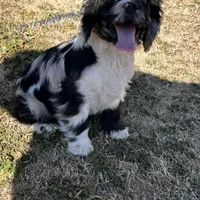 processed/2410e326-31f4-4858-a58a-0c576549c4cf/facility/0ff525fd-34c7-43a7-975c-3b24371816d4