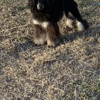 processed/2410e326-31f4-4858-a58a-0c576549c4cf/facility/180c4897-ba0b-4137-a342-18b086638a16