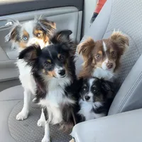 processed/2410e326-31f4-4858-a58a-0c576549c4cf/facility/69746d65-bedc-40e3-b1fb-9733821a928f