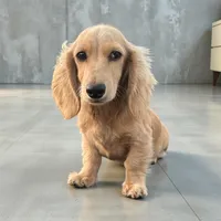 processed/2410e326-31f4-4858-a58a-0c576549c4cf/facility/7672b7e8-f71d-48ed-8775-edb251e9eaaf