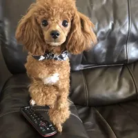 processed/2410e326-31f4-4858-a58a-0c576549c4cf/facility/b7bd9fe9-a5a8-4b03-bf06-5cef8bf8f075