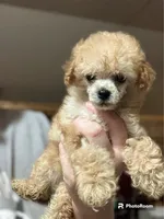 processed/2410e326-31f4-4858-a58a-0c576549c4cf/facility/bfe144b6-db67-4408-acd9-3af3af70f189