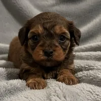 processed/2410e326-31f4-4858-a58a-0c576549c4cf/facility/c81260d6-9737-43ce-af51-37cd08df2794