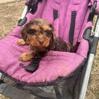 processed/2410e326-31f4-4858-a58a-0c576549c4cf/facility/c85433db-4f49-4a86-b102-c483bd44f596