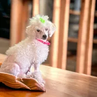 processed/2410e326-31f4-4858-a58a-0c576549c4cf/facility/c8eee4ed-c63a-4731-a41d-e9aef6e89876