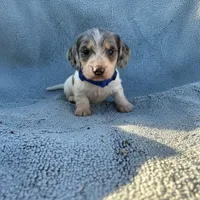 processed/2410e326-31f4-4858-a58a-0c576549c4cf/listing/74cd45b9-b33e-4427-836d-bd9a1639430f/8cea3a5b-845e-4a2e-9204-19c419749cdd