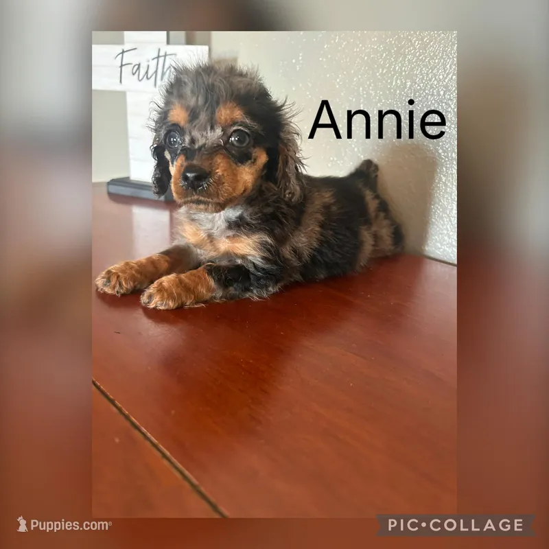 Annie