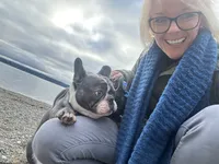 Samson, a male French Bulldog for sale in Lakebay, WA – 1 of 6