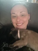 Pink girl, a female English Mastiff for sale in Wausau, WI – 2 of 5