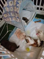 processed/241f0752-aa5c-40dd-af49-677b83e42229/facility/39234443-d251-425f-a718-f544c91a91eb