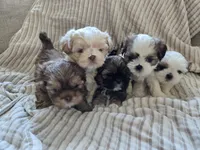 processed/241f0752-aa5c-40dd-af49-677b83e42229/facility/df4d1213-e1d1-4de4-8549-a28489176dab