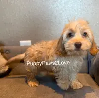 processed/241f5dfd-2e75-4da9-86ef-3ec18df21a82/listing/013047bb-879e-4364-a858-fa5edc49e9f7/07ad7ccd-be75-4eca-a3f5-06eb9bf109ab