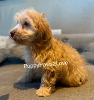 processed/241f5dfd-2e75-4da9-86ef-3ec18df21a82/listing/013047bb-879e-4364-a858-fa5edc49e9f7/43373412-a7ab-482c-9fdc-9b6f393d50d3