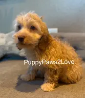 processed/241f5dfd-2e75-4da9-86ef-3ec18df21a82/listing/013047bb-879e-4364-a858-fa5edc49e9f7/7beccb39-54d3-4503-a113-4fce01e26831