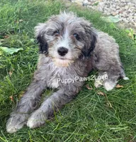 processed/241f5dfd-2e75-4da9-86ef-3ec18df21a82/listing/129718b2-5652-423f-8641-4fdf9e048ed3/7acfc94e-dbb4-474e-bf44-485cca937ade