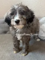 processed/241f5dfd-2e75-4da9-86ef-3ec18df21a82/listing/129718b2-5652-423f-8641-4fdf9e048ed3/a1ea0992-e79b-4298-bf24-cce88519f9af