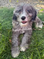 processed/241f5dfd-2e75-4da9-86ef-3ec18df21a82/listing/129718b2-5652-423f-8641-4fdf9e048ed3/b1ea9c94-e8b1-4667-8d28-99a866bec66c