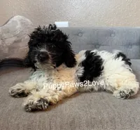 processed/241f5dfd-2e75-4da9-86ef-3ec18df21a82/listing/2d0c99b4-43fb-4563-bd10-bc44ddc4af16/b7089fee-5b57-409a-ae69-a8fa47d9f910