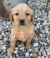 processed/241f5dfd-2e75-4da9-86ef-3ec18df21a82/listing/3bb656b0-e660-4cef-b333-18a7a0454523/13fae69e-1516-4aa3-9375-2fb11b0b8b00