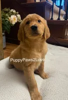 processed/241f5dfd-2e75-4da9-86ef-3ec18df21a82/listing/3bb656b0-e660-4cef-b333-18a7a0454523/717da306-4683-48a1-9abd-ad9a9523b19c