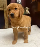 processed/241f5dfd-2e75-4da9-86ef-3ec18df21a82/listing/3bb656b0-e660-4cef-b333-18a7a0454523/8b6fb213-86f1-46f9-8be6-fc902024da6e