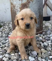 processed/241f5dfd-2e75-4da9-86ef-3ec18df21a82/listing/3bb656b0-e660-4cef-b333-18a7a0454523/abfaf829-adc9-4526-b712-506962bad4ab